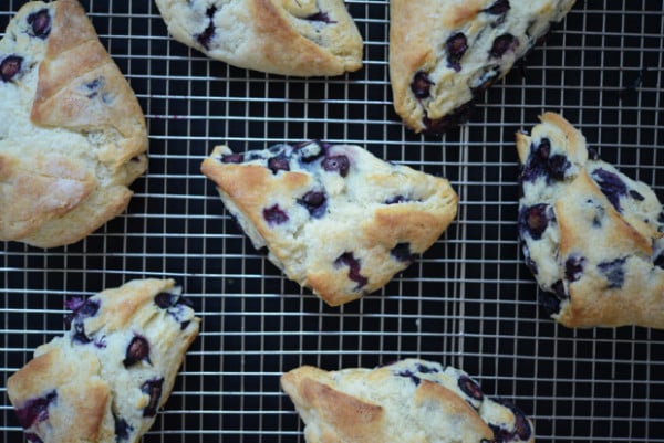 The Best Blueberry Scones