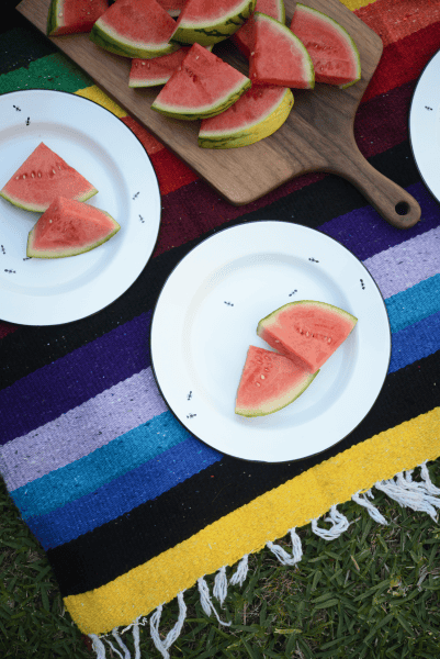 Outdoor Summer Plate DIY