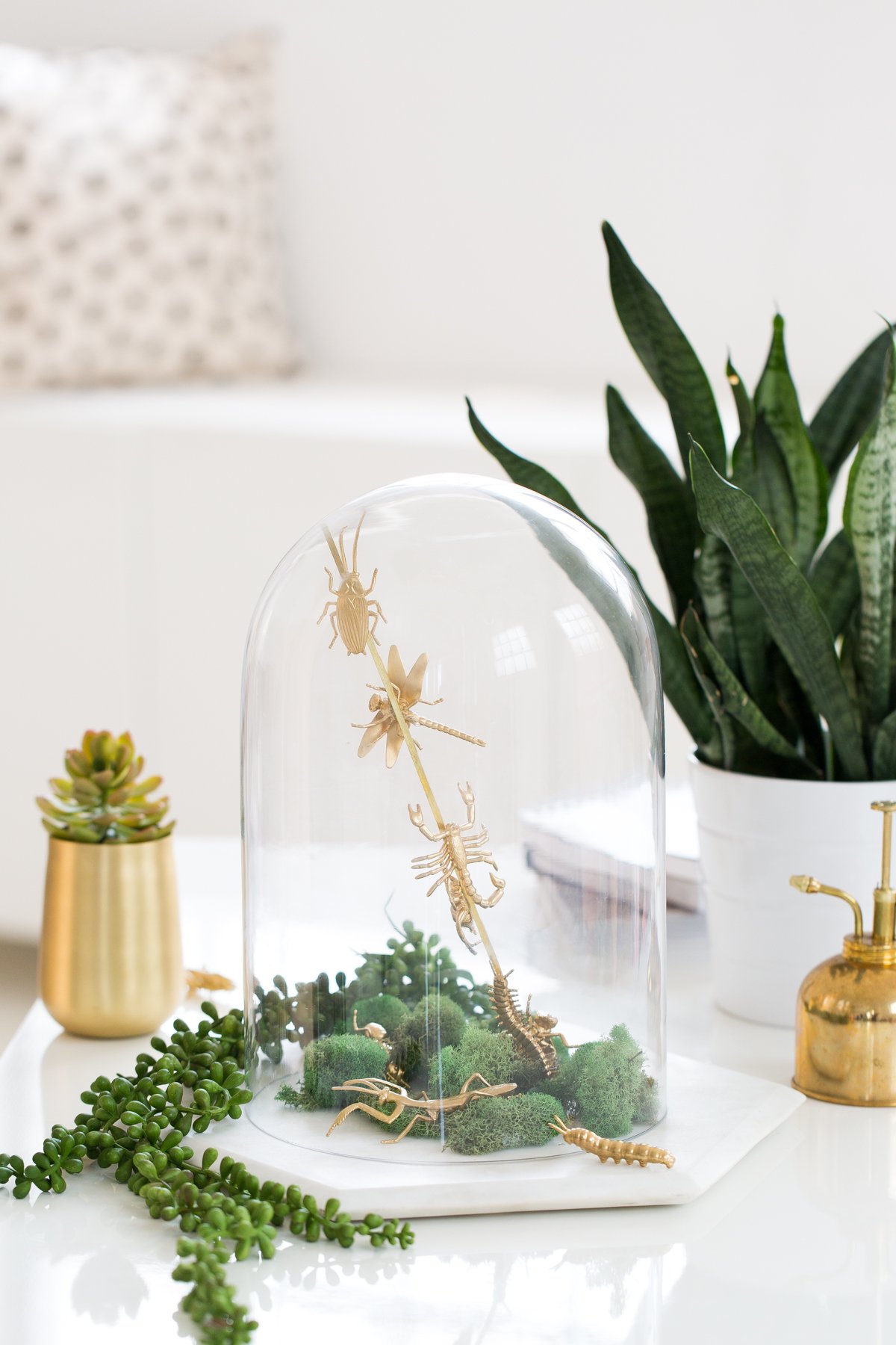 How to Make a Sleek Halloween Cloche Centerpiece