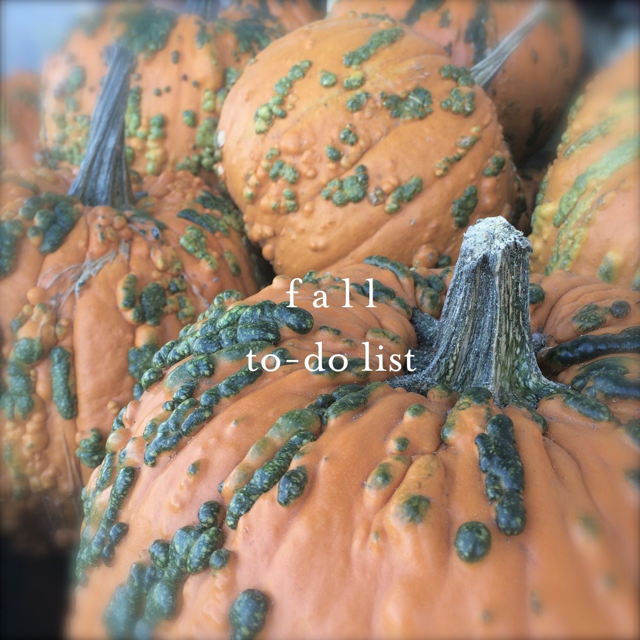 Fall To-Do List