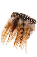 Head Gear
