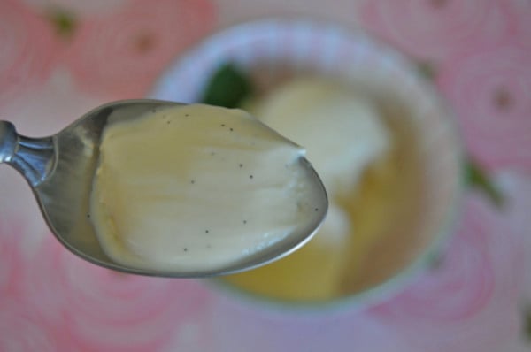 Vanilla Bean Ice Cream