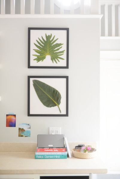 Framed Leaf DIY