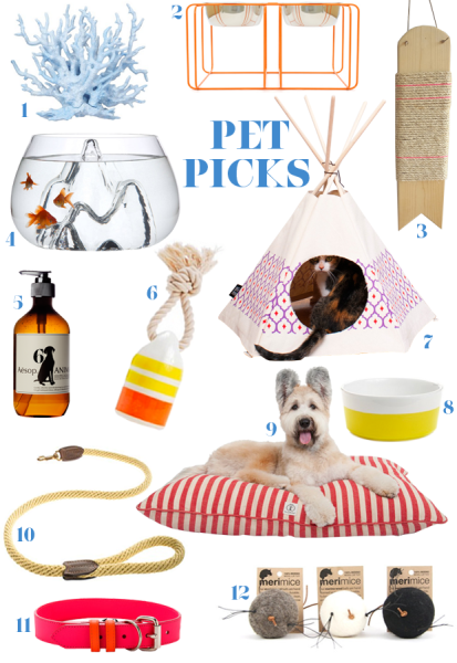 Pet Accessories That Aren’t Embarrassing