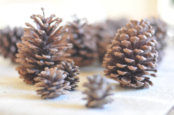 Thanksgiving Placecards
