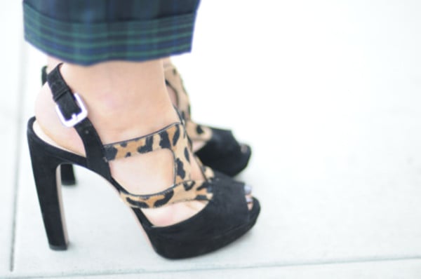 Checkered Brights