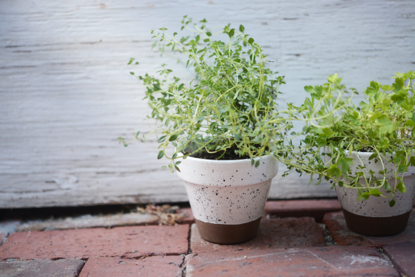 Faux Earthenware DIY